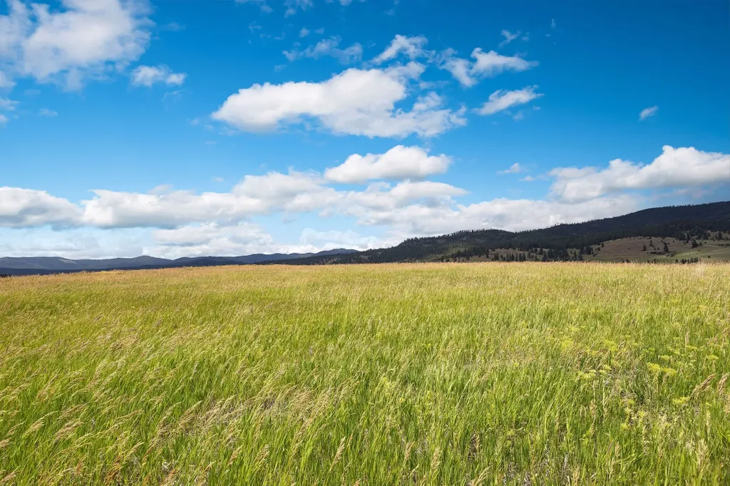 Nhn Lake Mary Ronan Road Dayton MT 59914