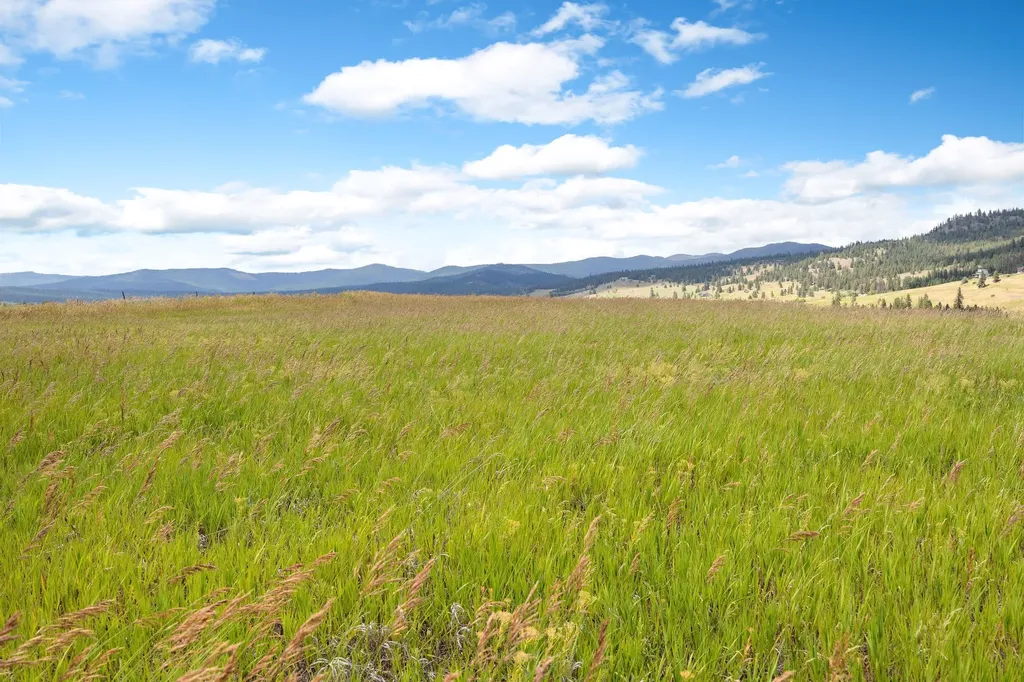 Nhn Lake Mary Ronan Road Dayton MT 59914