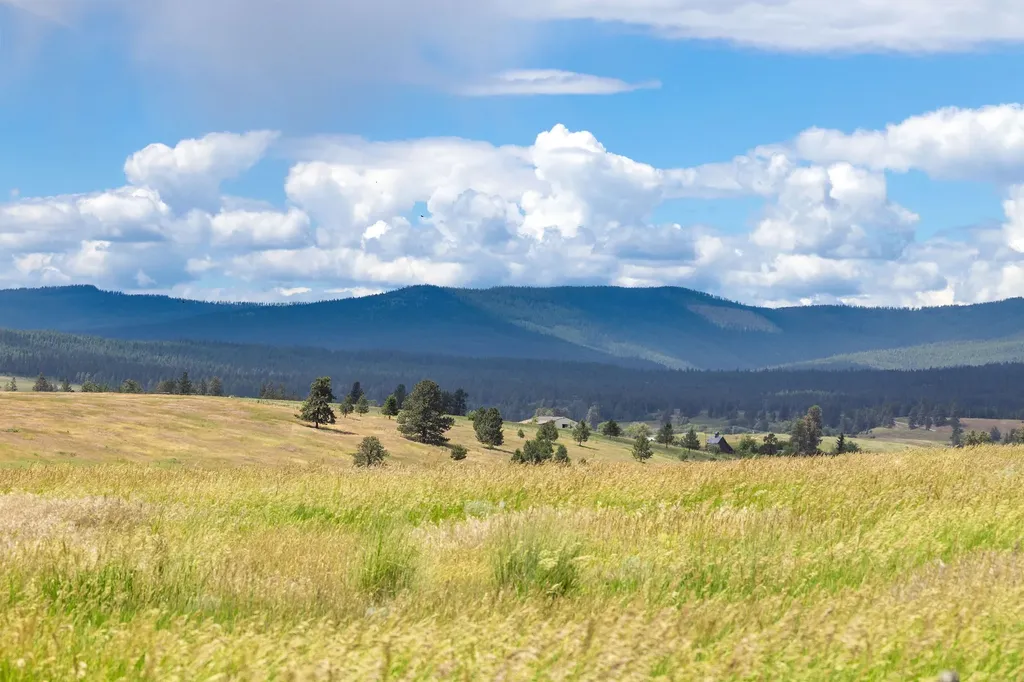 Nhn Lake Mary Ronan Road Dayton MT 59914