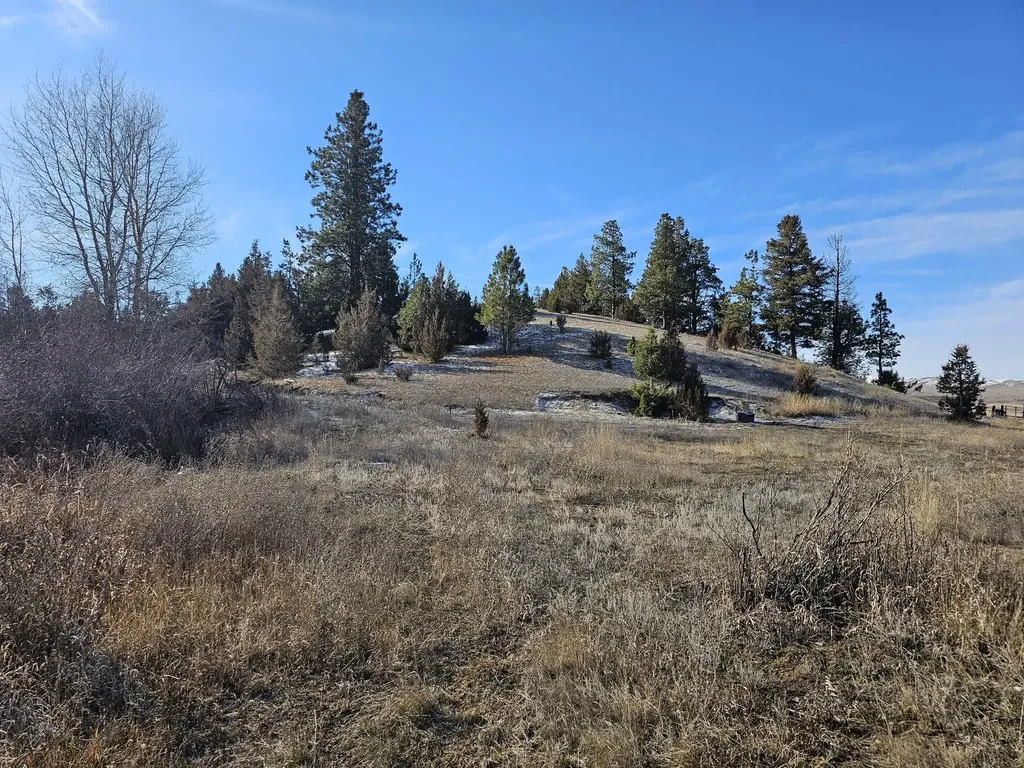 198 N Mullan Trail Road Gold Creek MT 59733