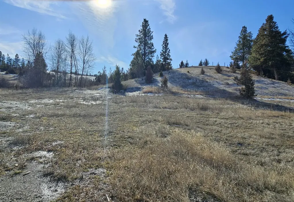 198 N Mullan Trail Road Gold Creek MT 59733