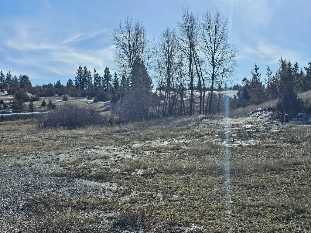 198 N Mullan Trail Road Gold Creek MT 59733