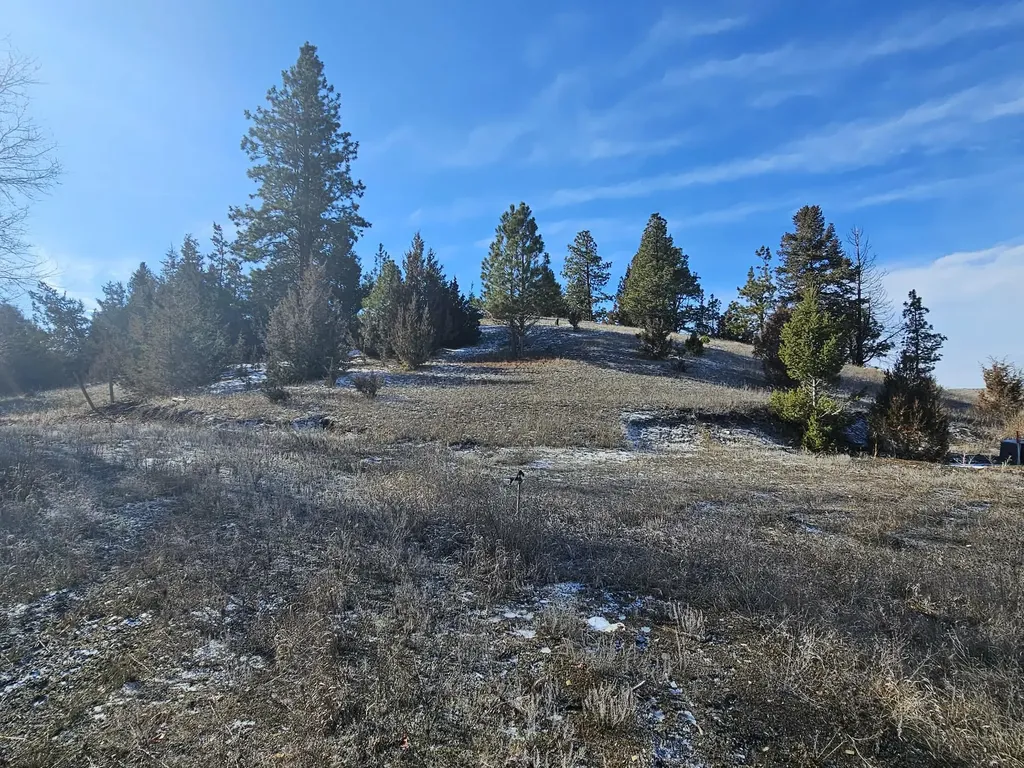 198 N Mullan Trail Road Gold Creek MT 59733
