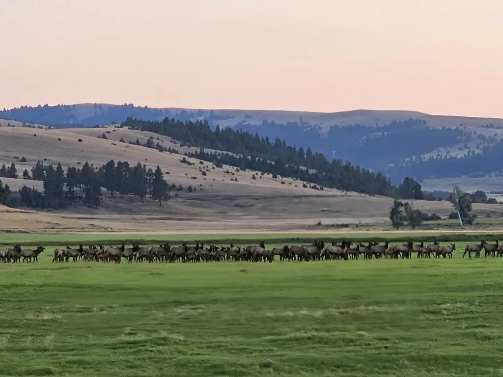 198 N Mullan Trail Road Gold Creek MT 59733