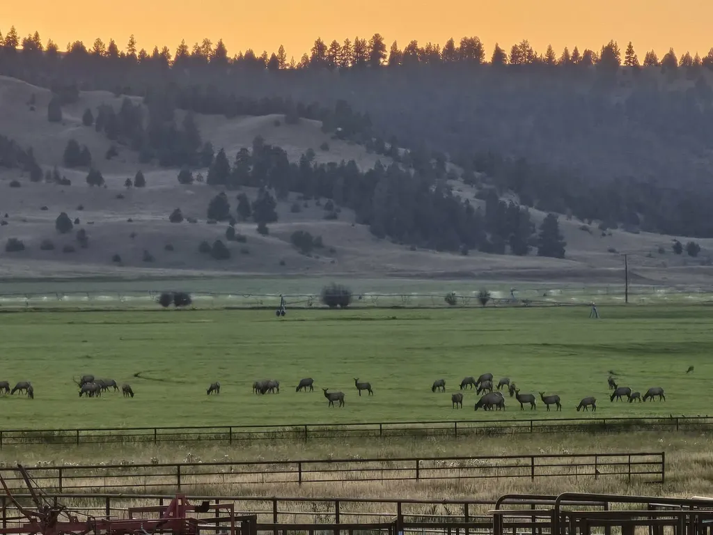 198 N Mullan Trail Road Gold Creek MT 59733