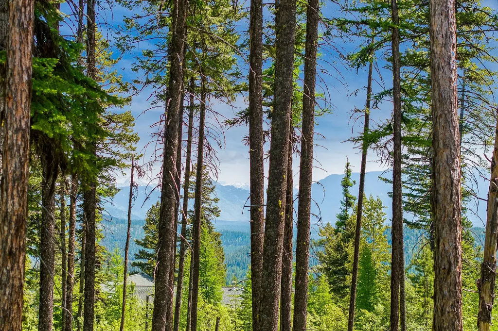 205 Ridge Run Court Whitefish MT 59937