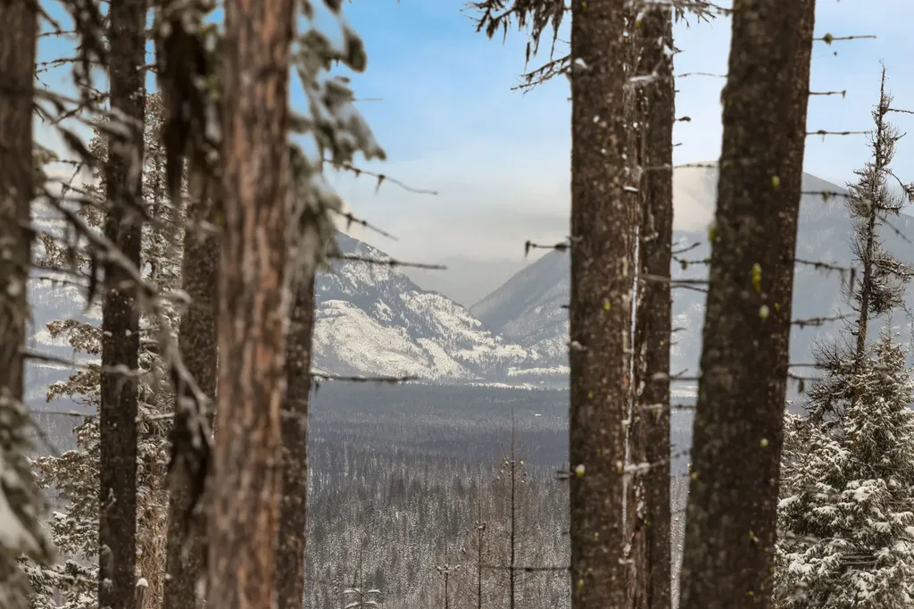 205 Ridge Run Court Whitefish MT 59937
