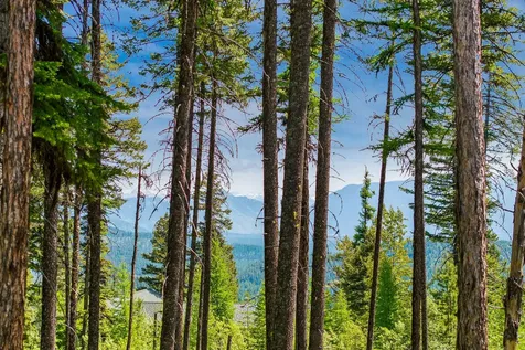 205 Ridge Run Court Whitefish MT 59937