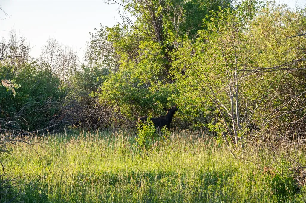 164 Pony Road Harrison MT 59735