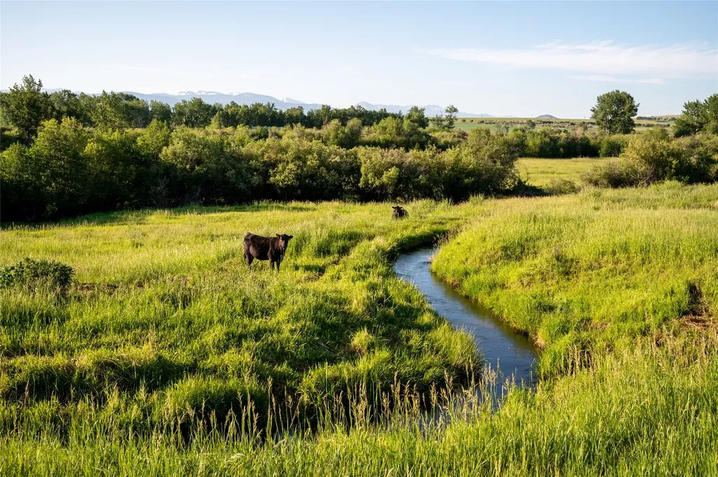 164 Pony Road Harrison MT 59735
