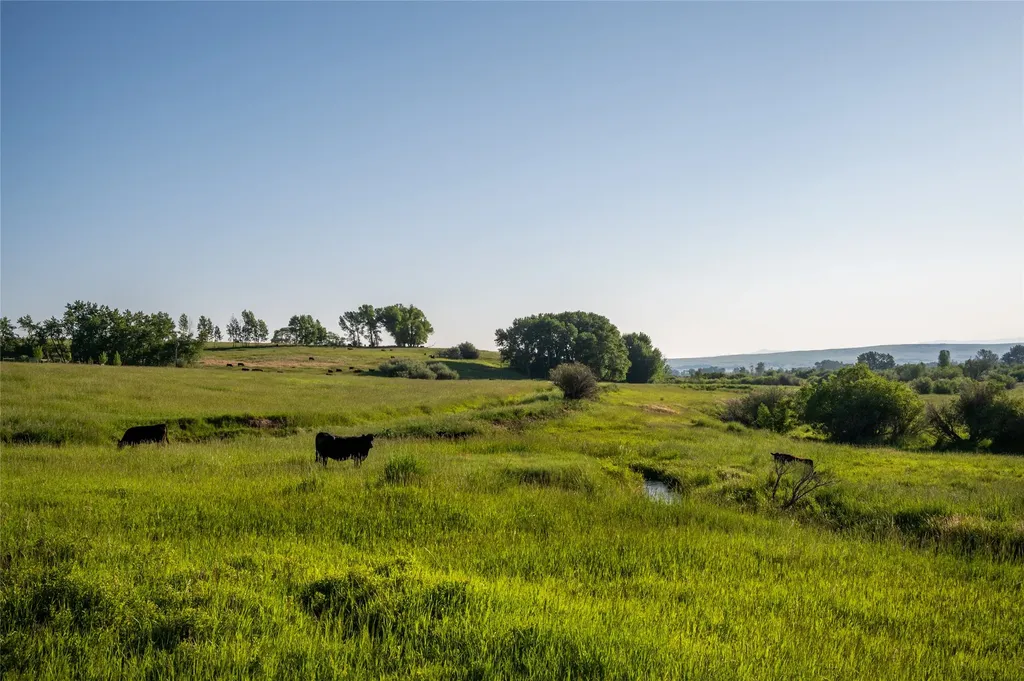 164 Pony Road Harrison MT 59735