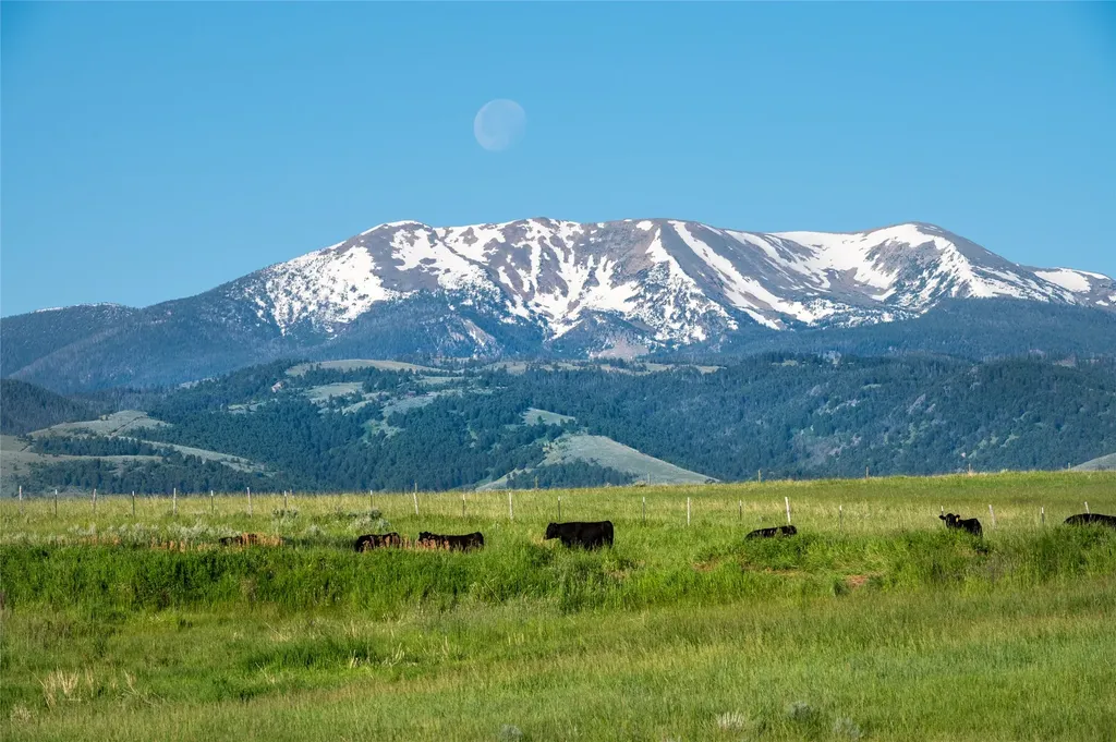 164 Pony Road Harrison MT 59735