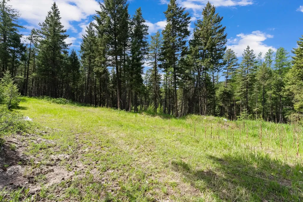 433 Buffalo Trail Somers MT 59932
