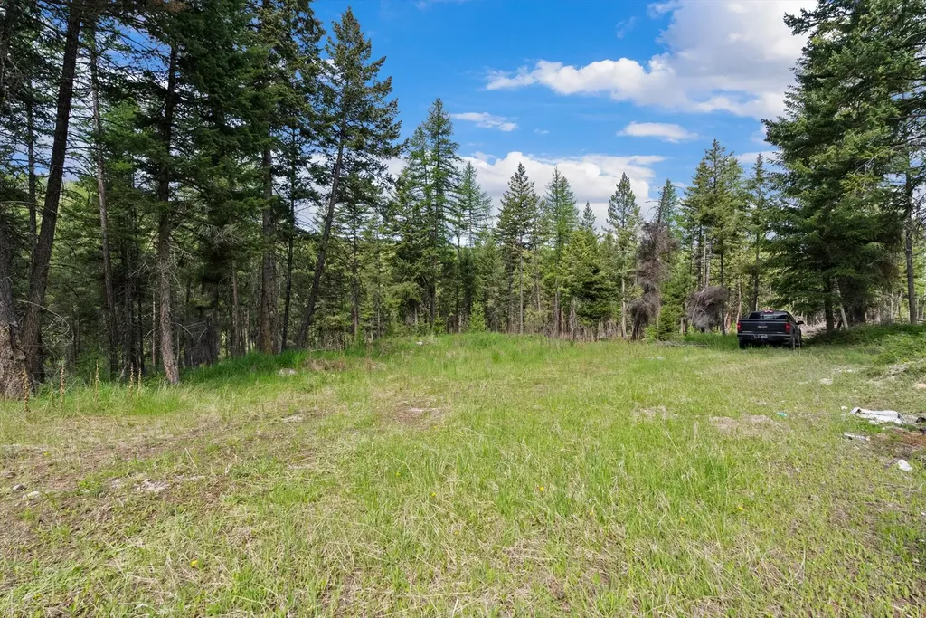 433 Buffalo Trail Somers MT 59932