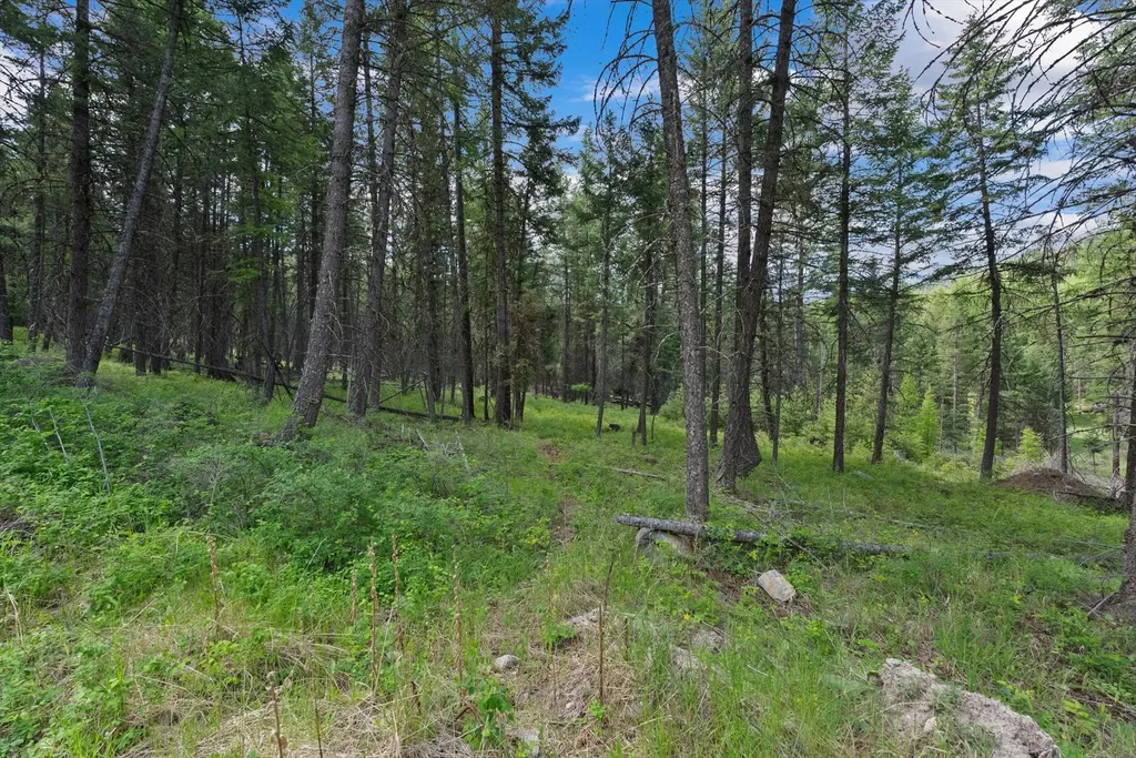 433 Buffalo Trail Somers MT 59932