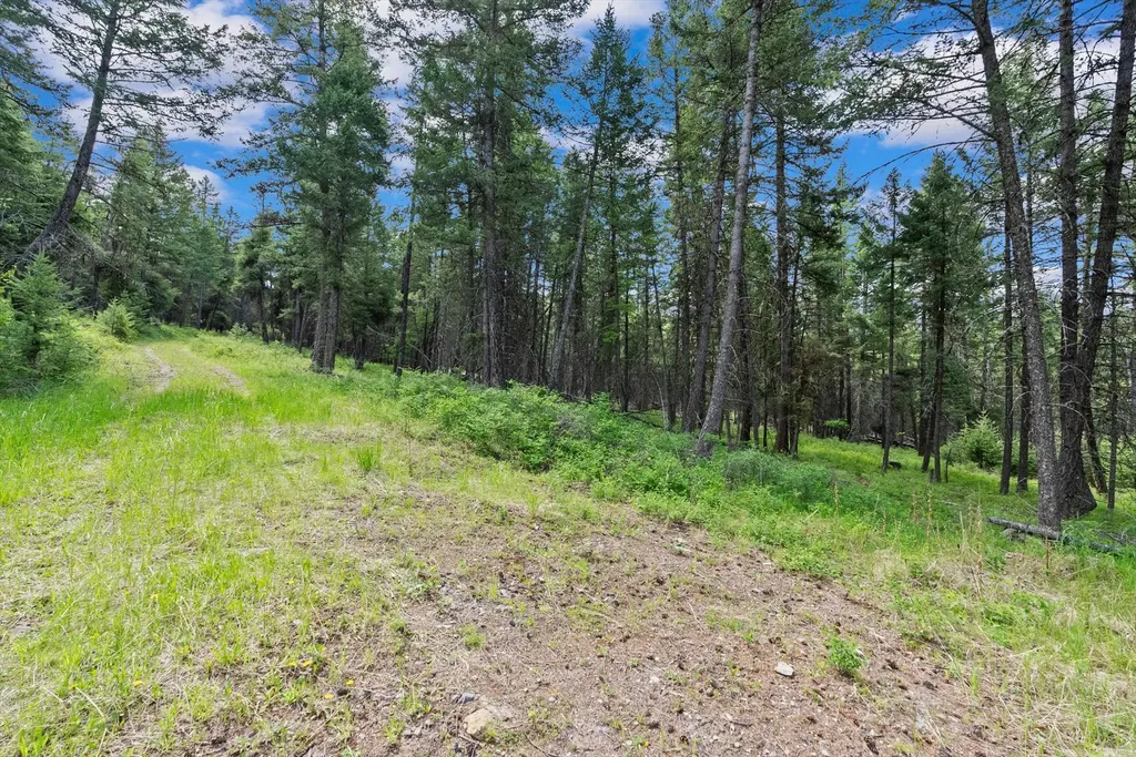 433 Buffalo Trail Somers MT 59932