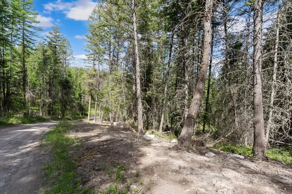 433, 437 & 439 Buffalo Trail Somers MT 59932