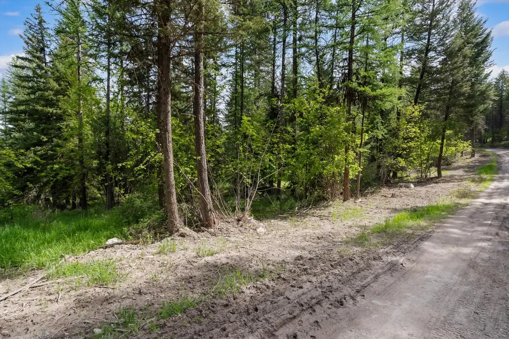 433, 437 & 439 Buffalo Trail Somers MT 59932