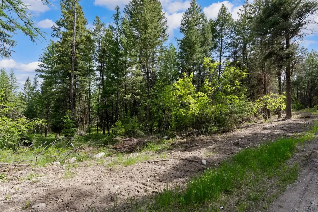 433, 437 & 439 Buffalo Trail Somers MT 59932