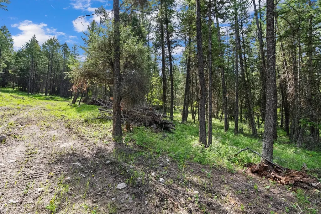 433, 437 & 439 Buffalo Trail Somers MT 59932