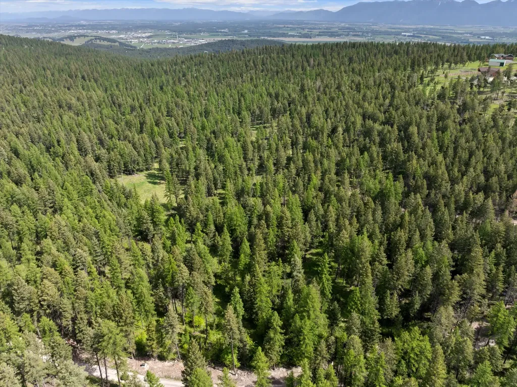 433, 437 & 439 Buffalo Trail Somers MT 59932