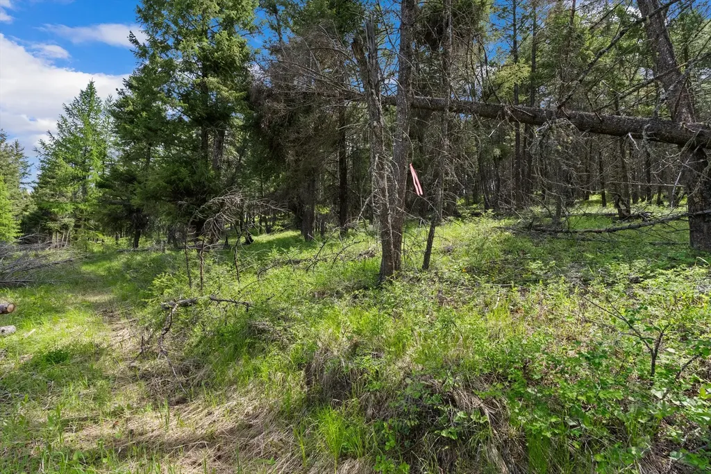 433, 437 & 439 Buffalo Trail Somers MT 59932