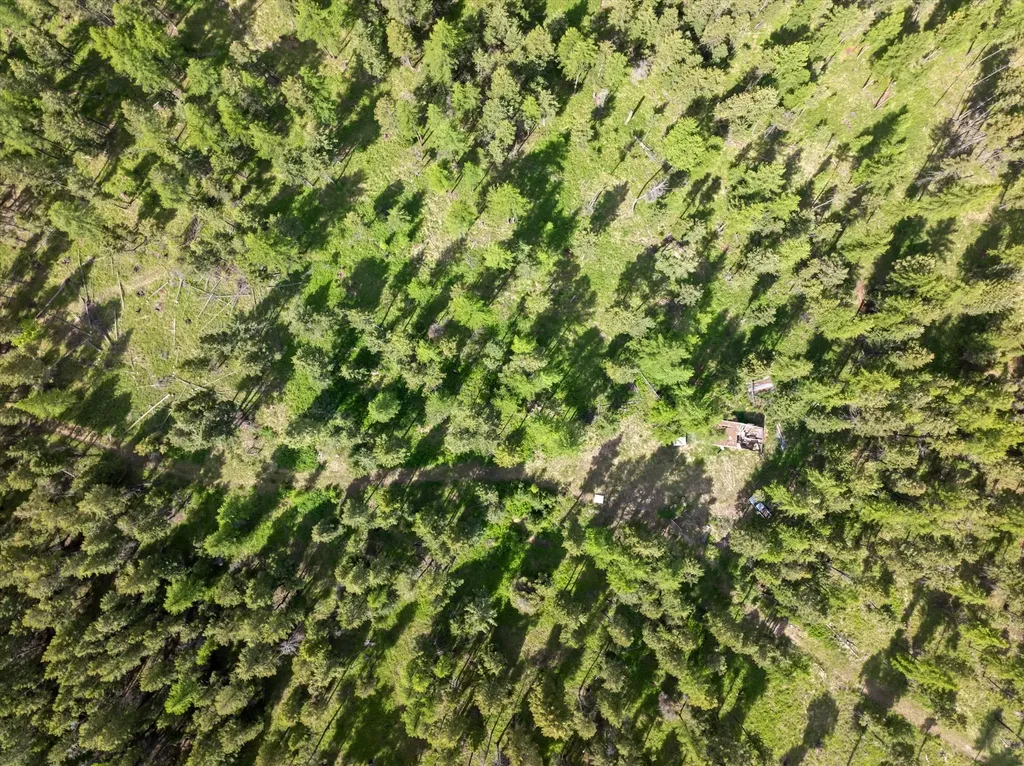 433, 437 & 439 Buffalo Trail Somers MT 59932