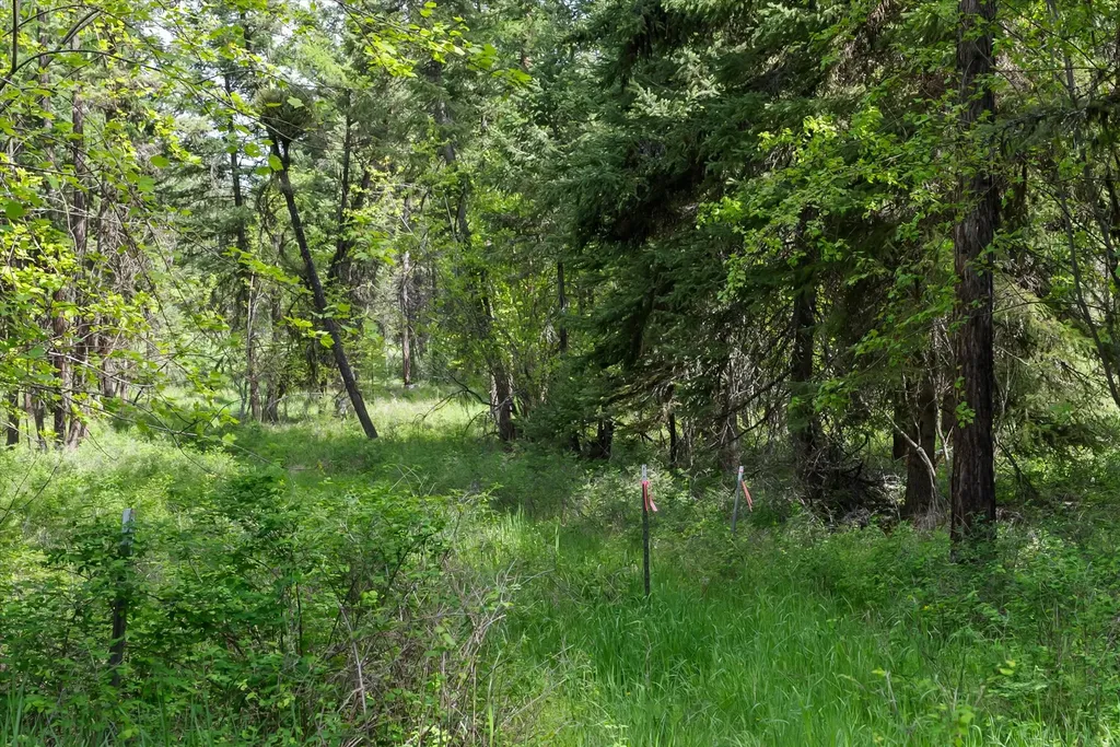 439 Buffalo Trail Somers MT 59932