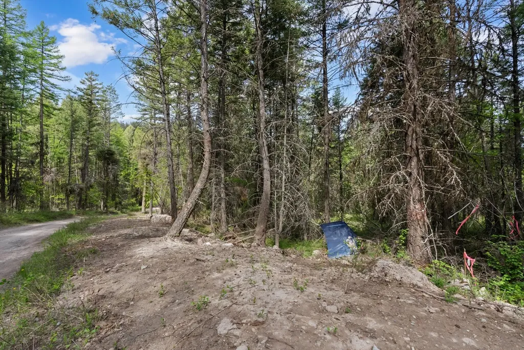 439 Buffalo Trail Somers MT 59932