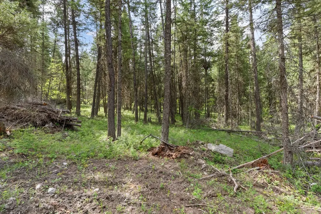 439 Buffalo Trail Somers MT 59932