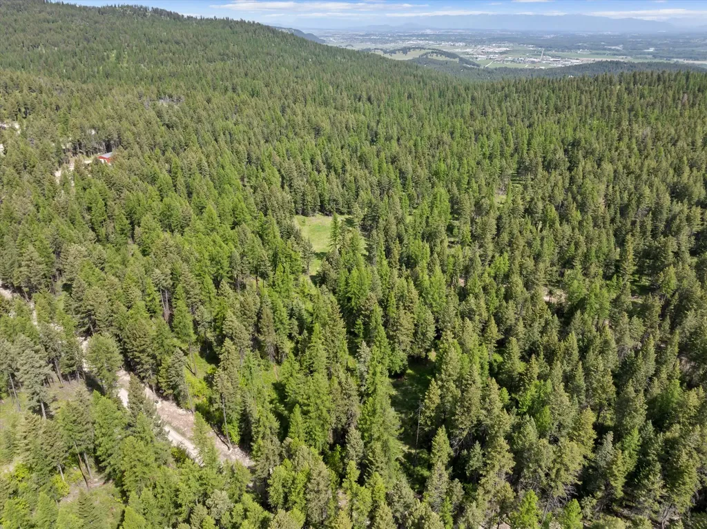 439 Buffalo Trail Somers MT 59932