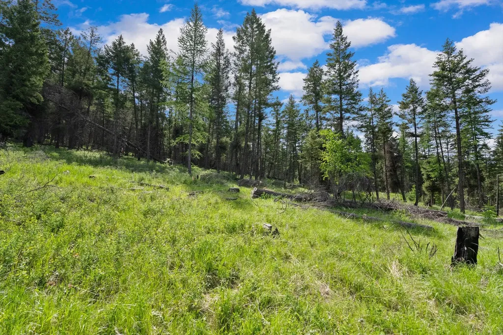 437 Buffalo Trail Somers MT 59932