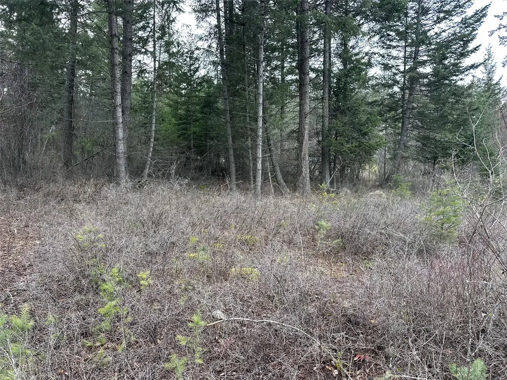 66 Angel Point Road Lakeside MT 59922