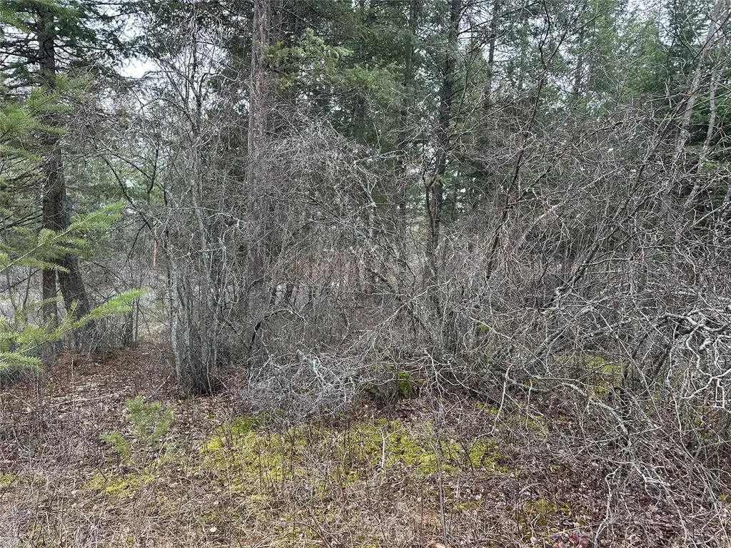 66 Angel Point Road Lakeside MT 59922