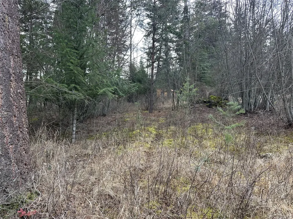 66 Angel Point Road Lakeside MT 59922