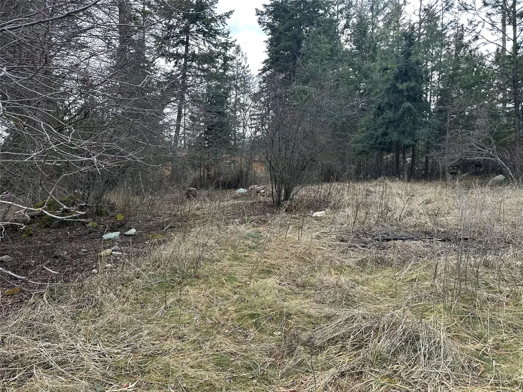 66 Angel Point Road Lakeside MT 59922