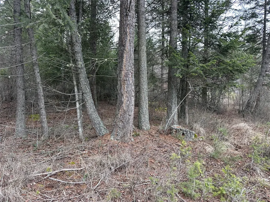 66 Angel Point Road Lakeside MT 59922