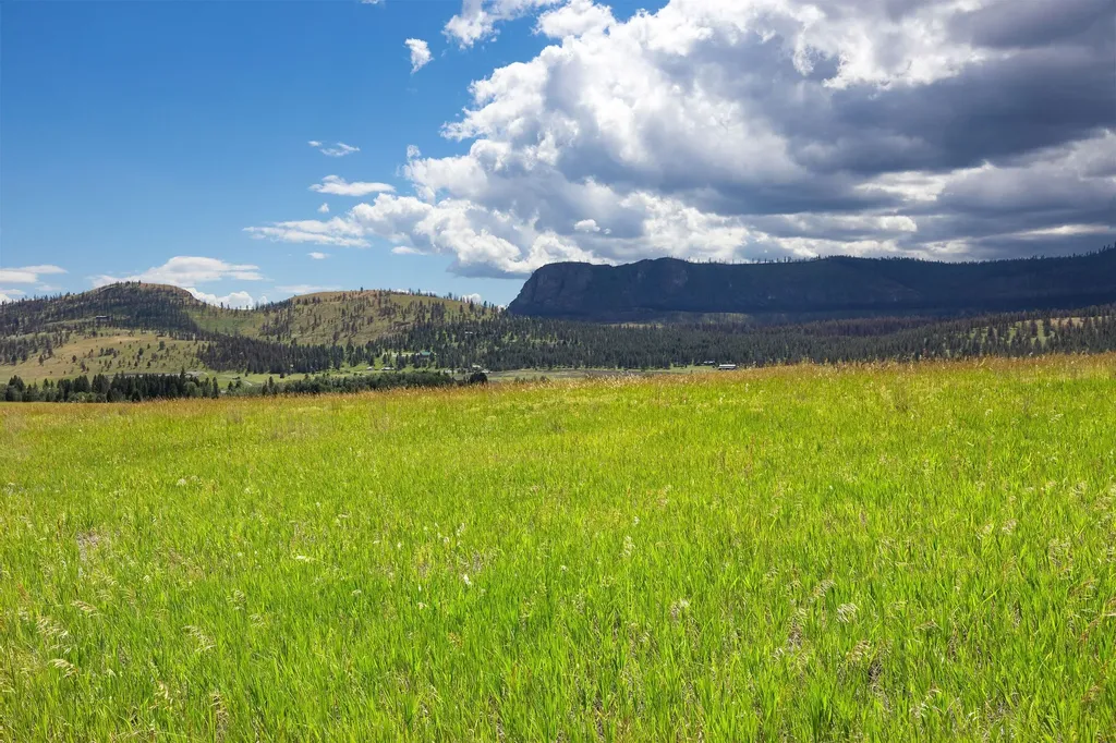 Nhn Lake Mary Ronan Road Dayton MT 59914