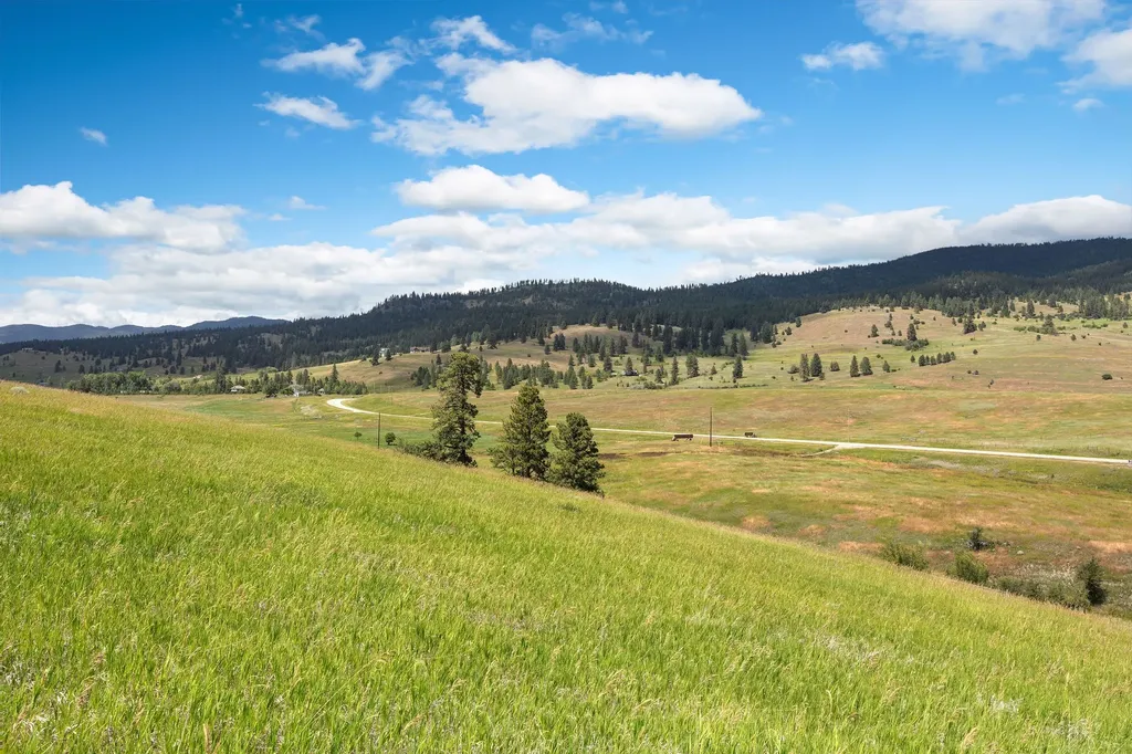Nhn Lake Mary Ronan Road Dayton MT 59914