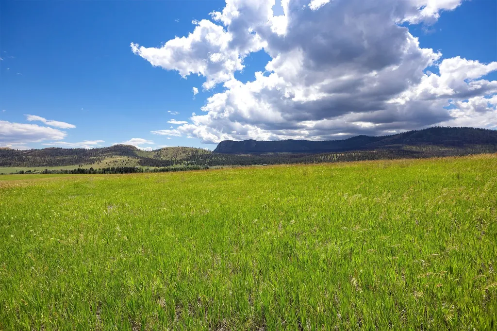Nhn Lake Mary Ronan Road Dayton MT 59914