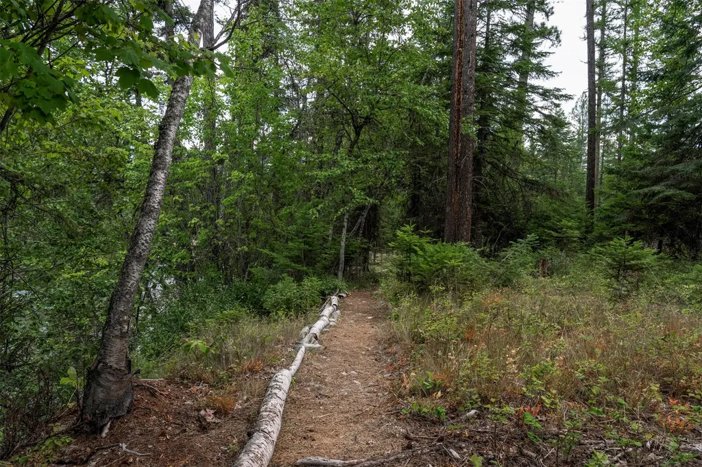 29545 Drifting Way Bigfork MT 59911