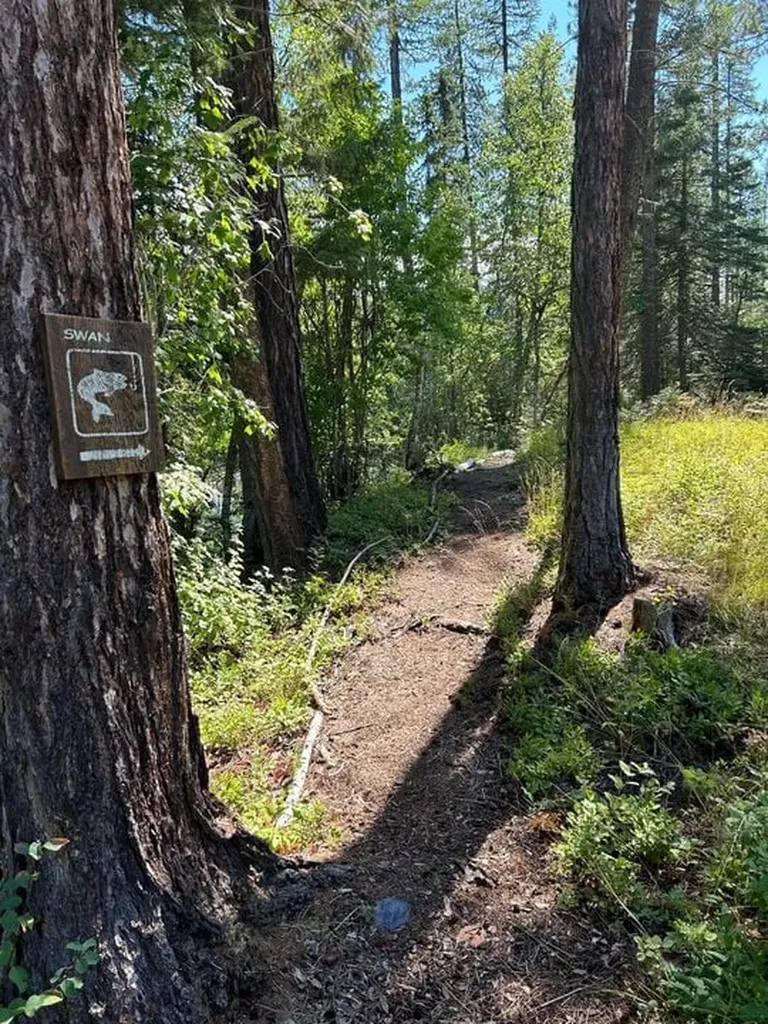 29545 Drifting Way Bigfork MT 59911