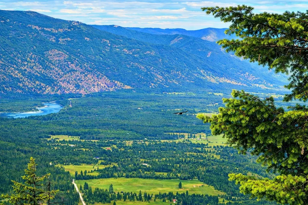 Nhn Hope Valley Road Trout Creek MT 59874