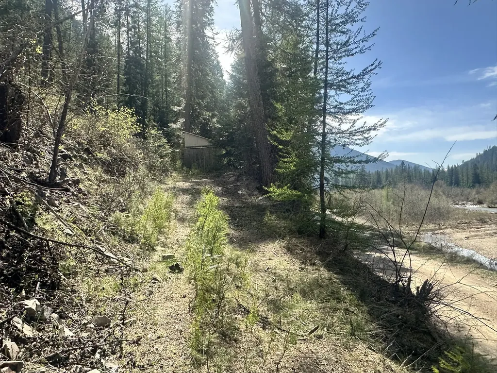 Nhn Hope Valley Road Trout Creek MT 59874