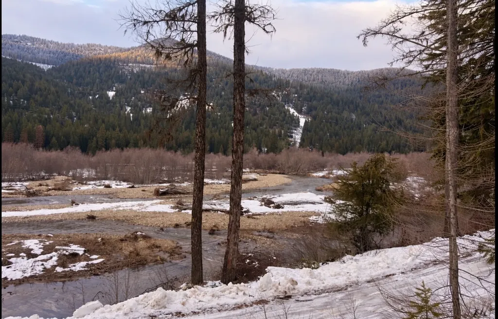 Nhn Hope Valley Road Trout Creek MT 59874