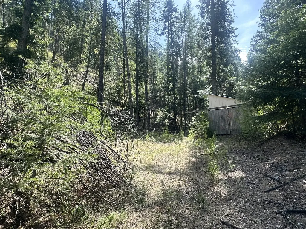 Nhn Hope Valley Road Trout Creek MT 59874