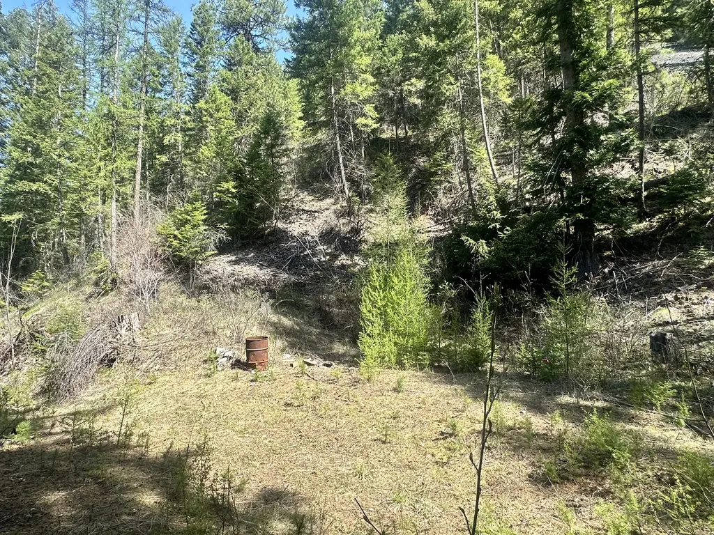 Nhn Hope Valley Road Trout Creek MT 59874