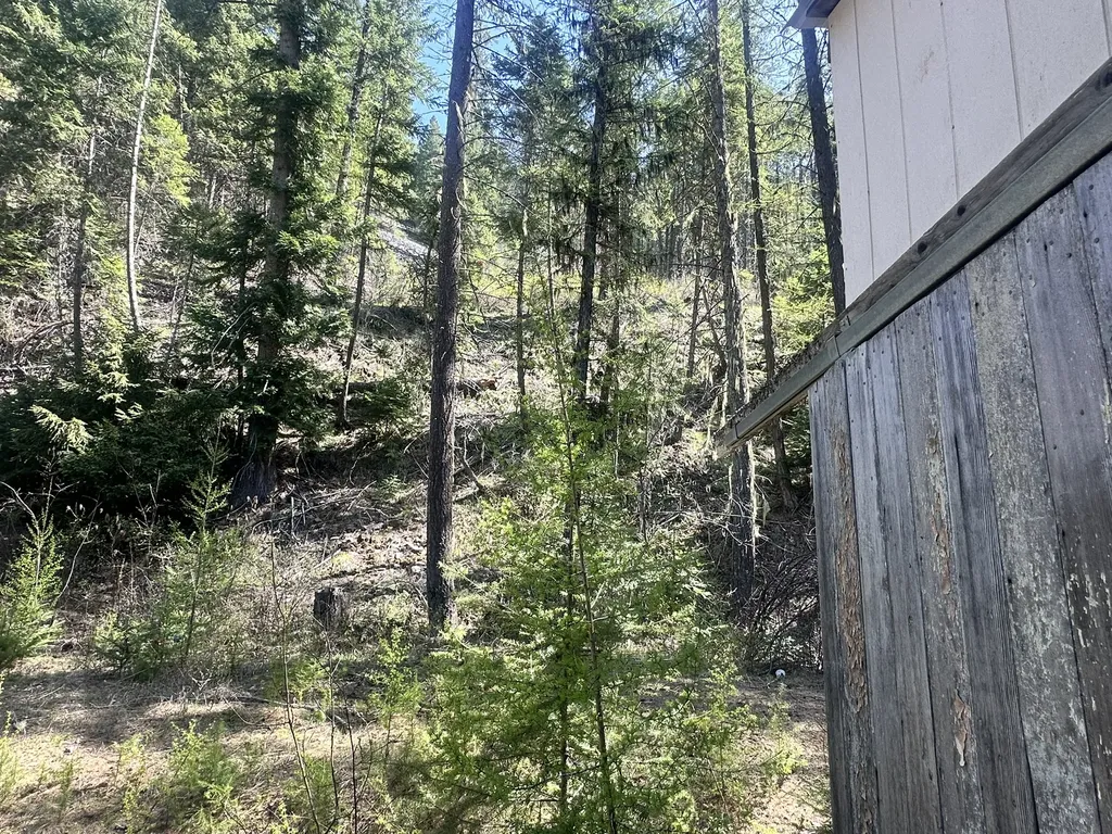 Nhn Hope Valley Road Trout Creek MT 59874