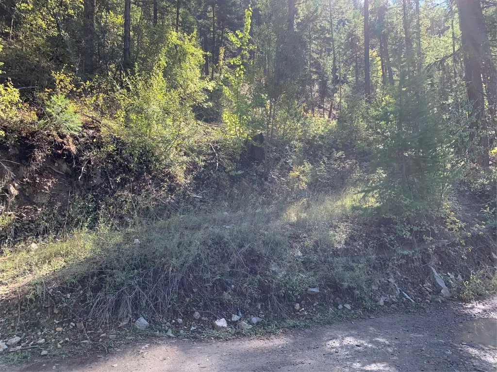 Nhn Hope Valley Road Trout Creek MT 59874