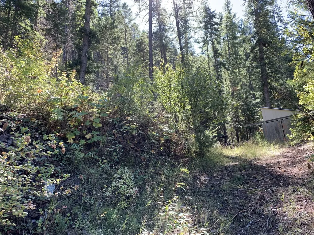Nhn Hope Valley Road Trout Creek MT 59874